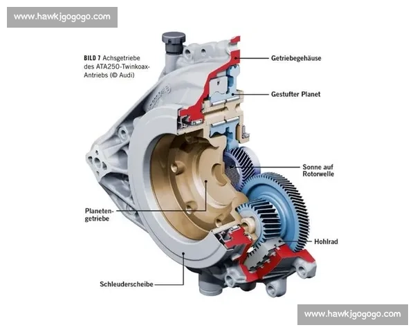 全面解析如何以保持纪录为核心推动持续发展策略研究的路径与方法探索